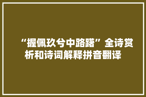 “握佩玖兮中路躇”全诗赏析和诗词解释拼音翻译