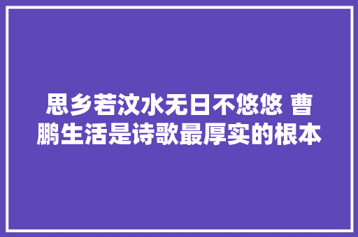 思乡若汶水无日不悠悠 曹鹏生活是诗歌最厚实的根本