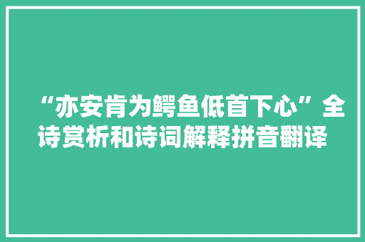 “亦安肯为鳄鱼低首下心”全诗赏析和诗词解释拼音翻译