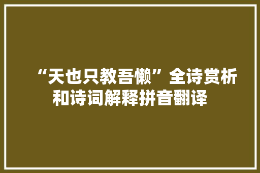 “天也只教吾懒”全诗赏析和诗词解释拼音翻译