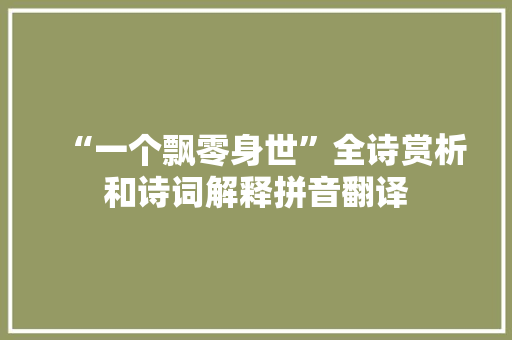 “一个飘零身世”全诗赏析和诗词解释拼音翻译
