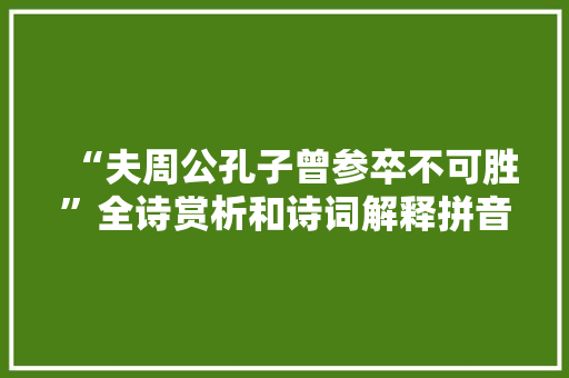 “夫周公孔子曾参卒不可胜”全诗赏析和诗词解释拼音翻译