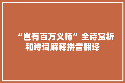 “岂有百万义师”全诗赏析和诗词解释拼音翻译