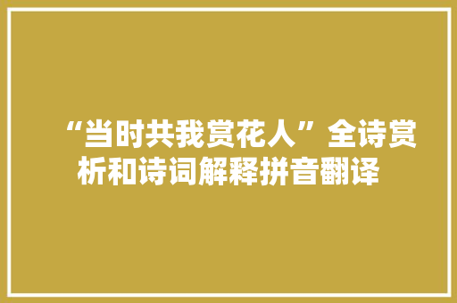 “当时共我赏花人”全诗赏析和诗词解释拼音翻译