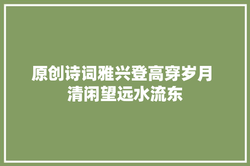 原创诗词雅兴登高穿岁月 清闲望远水流东