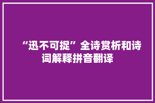 “迅不可捉”全诗赏析和诗词解释拼音翻译