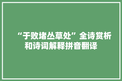 “于败堵丛草处”全诗赏析和诗词解释拼音翻译