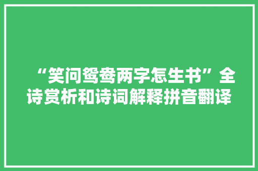 “笑问鸳鸯两字怎生书”全诗赏析和诗词解释拼音翻译