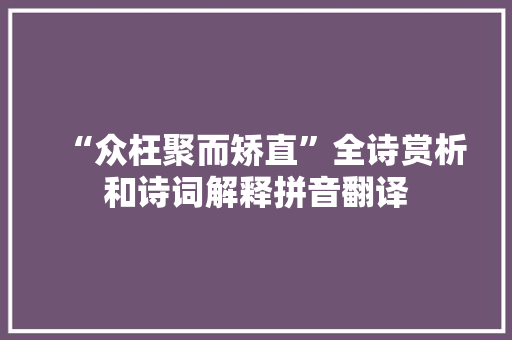 “众枉聚而矫直”全诗赏析和诗词解释拼音翻译