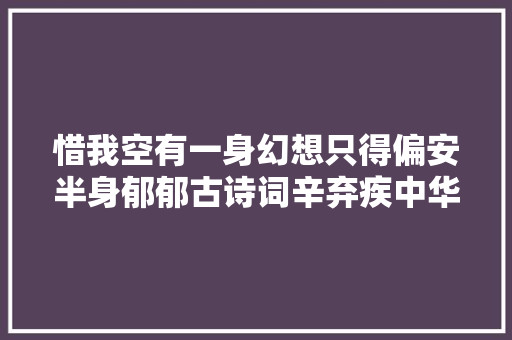 惜我空有一身幻想只得偏安半身郁郁古诗词辛弃疾中华文化