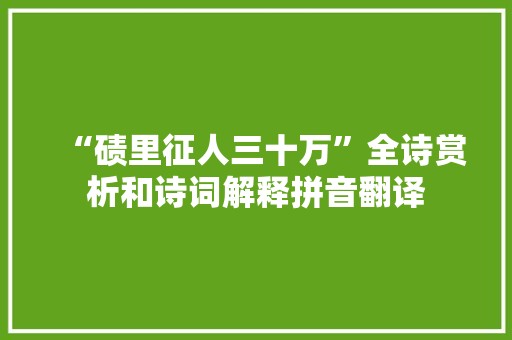 “碛里征人三十万”全诗赏析和诗词解释拼音翻译