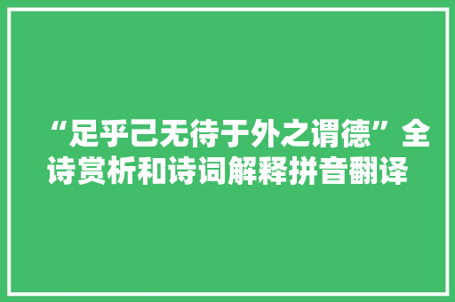 “足乎己无待于外之谓德”全诗赏析和诗词解释拼音翻译