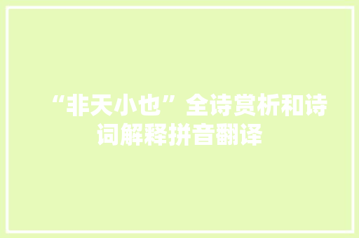 “非天小也”全诗赏析和诗词解释拼音翻译