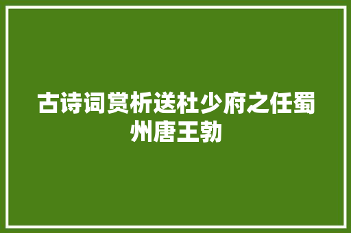 古诗词赏析送杜少府之任蜀州唐王勃