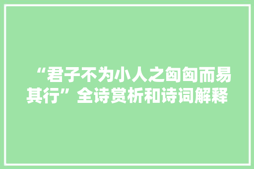 “君子不为小人之匈匈而易其行”全诗赏析和诗词解释拼音翻译