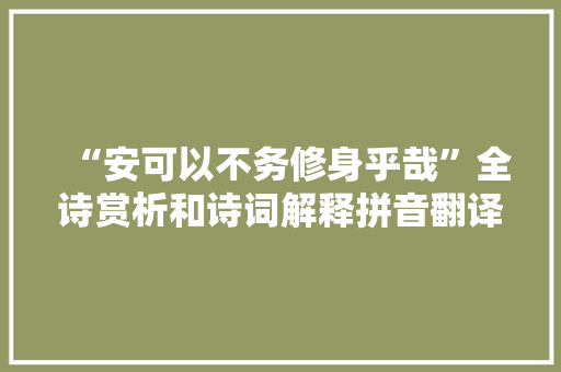 “安可以不务修身乎哉”全诗赏析和诗词解释拼音翻译