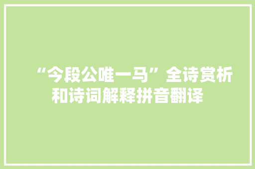 “今段公唯一马”全诗赏析和诗词解释拼音翻译