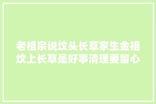 老祖宗说坟头长草家生金祖坟上长草是好事清理要留心