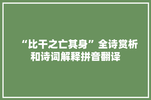 “比干之亡其身”全诗赏析和诗词解释拼音翻译