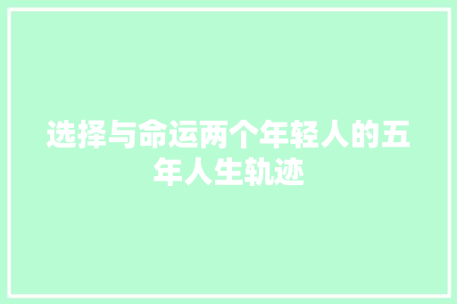 选择与命运两个年轻人的五年人生轨迹