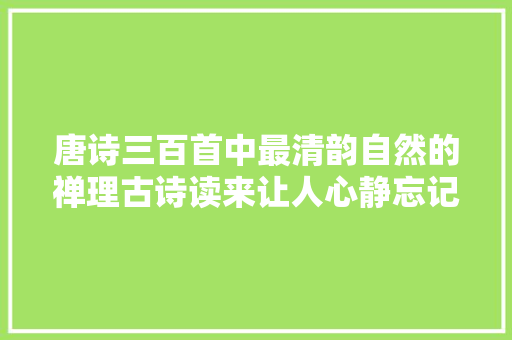 唐诗三百首中最清韵自然的禅理古诗读来让人心静忘记尘凡庞杂