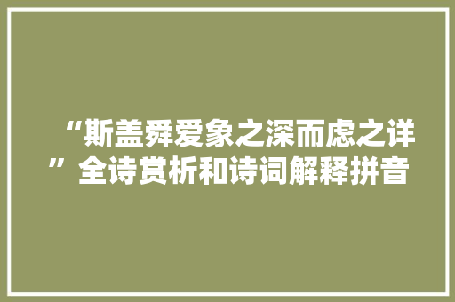 “斯盖舜爱象之深而虑之详”全诗赏析和诗词解释拼音翻译