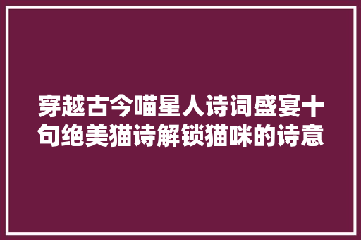 穿越古今喵星人诗词盛宴十句绝美猫诗解锁猫咪的诗意生活