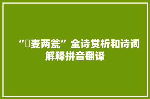 “燋麦两瓮”全诗赏析和诗词解释拼音翻译