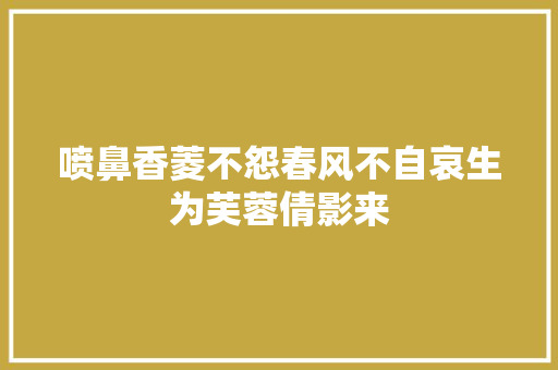 喷鼻香菱不怨春风不自哀生为芙蓉倩影来