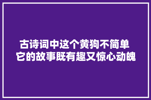 古诗词中这个黄狗不简单 它的故事既有趣又惊心动魄