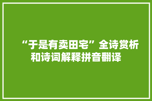 “于是有卖田宅”全诗赏析和诗词解释拼音翻译