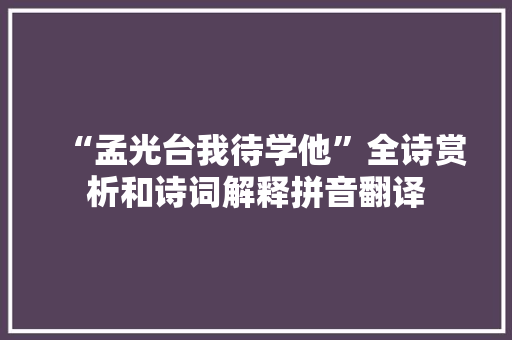 “孟光台我待学他”全诗赏析和诗词解释拼音翻译