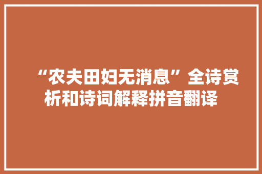 “农夫田妇无消息”全诗赏析和诗词解释拼音翻译