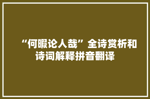 “何暇论人哉”全诗赏析和诗词解释拼音翻译