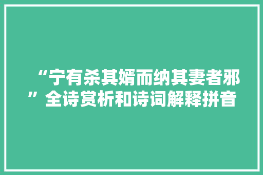 “宁有杀其婿而纳其妻者邪”全诗赏析和诗词解释拼音翻译