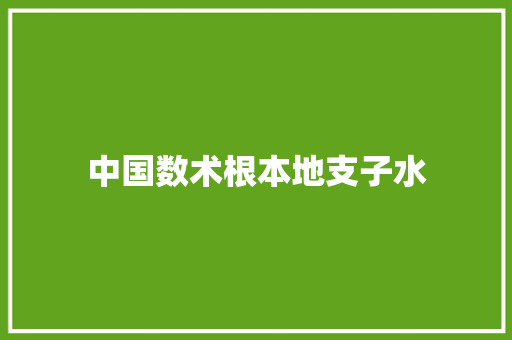 中国数术根本地支子水