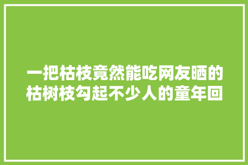一把枯枝竟然能吃网友晒的枯树枝勾起不少人的童年回忆你吃过吗