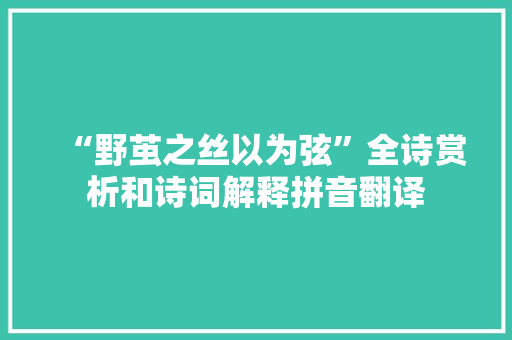 “野茧之丝以为弦”全诗赏析和诗词解释拼音翻译