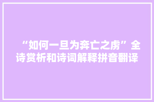 “如何一旦为奔亡之虏”全诗赏析和诗词解释拼音翻译