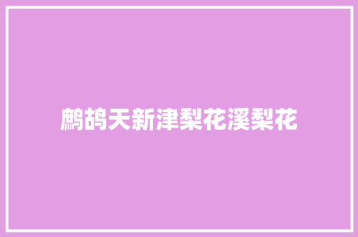 鹧鸪天新津梨花溪梨花