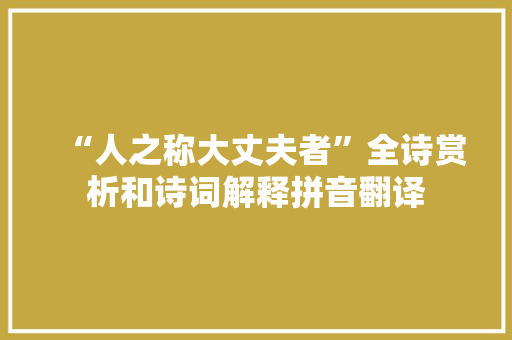 “人之称大丈夫者”全诗赏析和诗词解释拼音翻译