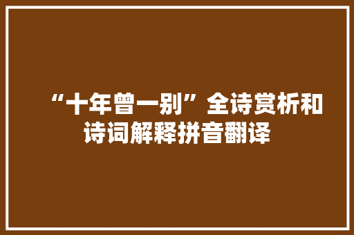 “十年曾一别”全诗赏析和诗词解释拼音翻译