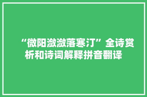 “微阳潋潋落寒汀”全诗赏析和诗词解释拼音翻译