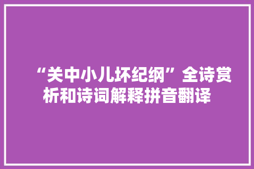 “关中小儿坏纪纲”全诗赏析和诗词解释拼音翻译