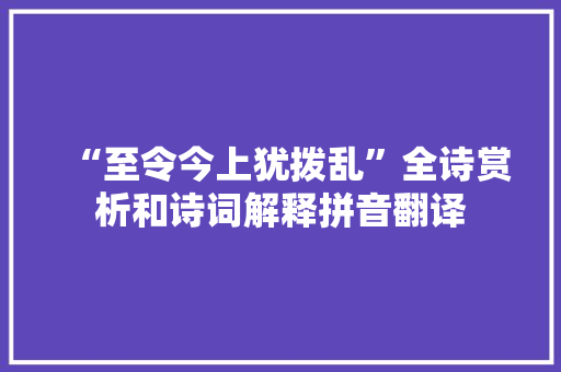 “至令今上犹拨乱”全诗赏析和诗词解释拼音翻译