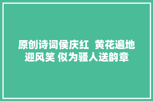 原创诗词侯庆红  黄花遍地迎风笑 似为骚人送韵章