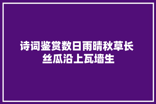 诗词鉴赏数日雨晴秋草长 丝瓜沿上瓦墙生