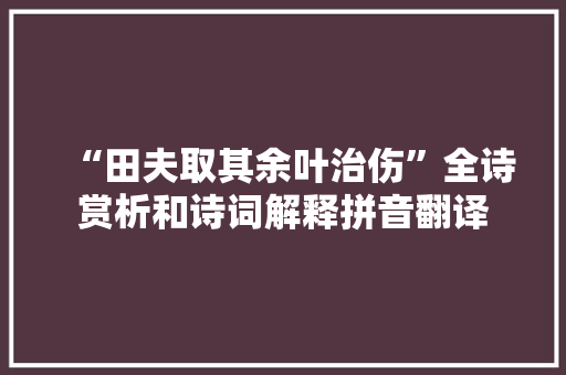“田夫取其余叶治伤”全诗赏析和诗词解释拼音翻译