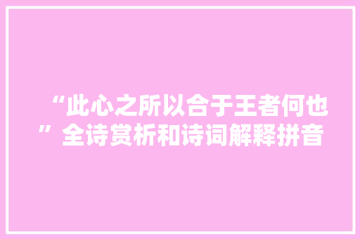 “此心之所以合于王者何也”全诗赏析和诗词解释拼音翻译