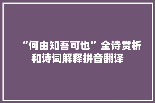 “何由知吾可也”全诗赏析和诗词解释拼音翻译